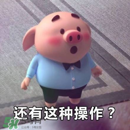 豬小屁表情包是什么？豬小屁表情包為什么這么火？