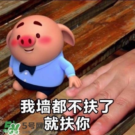 豬小屁多少錢一個？豬小屁哪里可以買到