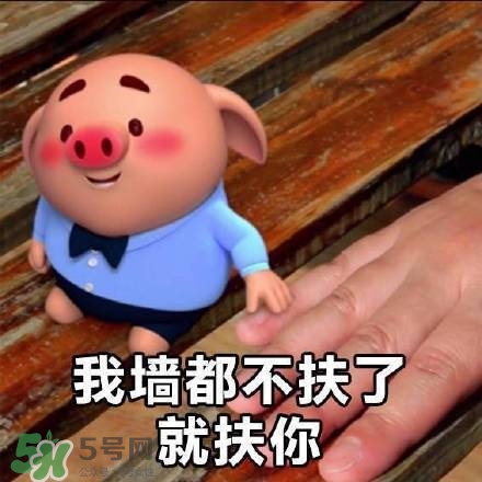 豬小屁表情包是什么？豬小屁表情包為什么這么火？