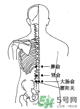 三伏灸可以治腰腿痛嗎？三伏灸治腰腿痛灸哪里》