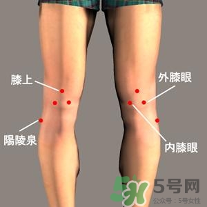 三伏灸可以治腰腿痛嗎？三伏灸治腰腿痛灸哪里》