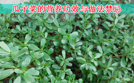 梅干菜會(huì)致癌嗎？致癌屬誤傳