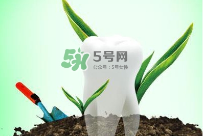 種植牙多少錢(qián)一顆？為什么種植牙很貴