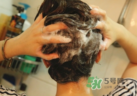 hair recipe水果洗發(fā)水怎么樣？hair recipe洗發(fā)水哪款好用