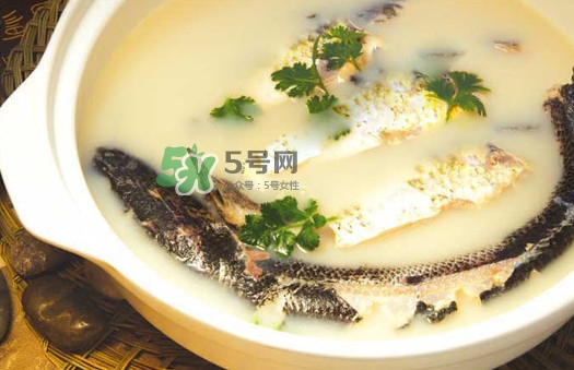 黃蜂魚(yú)怎么煮好吃？黃蜂魚(yú)燉湯孕婦可以喝嗎