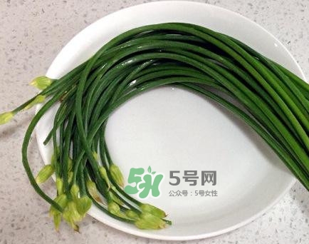 吃韭菜苔回奶嗎？韭菜苔和蒜苗是一回事嗎