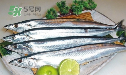 沙丁魚(yú)和秋刀魚(yú)有什么不一樣？秋刀魚(yú)和沙丁魚(yú)的區(qū)別