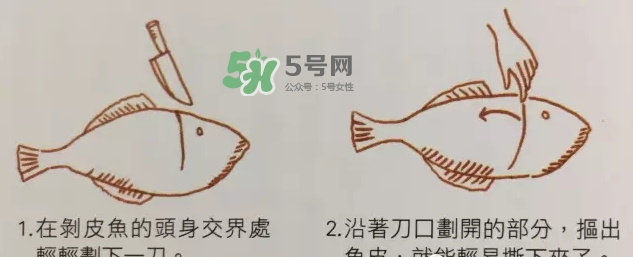 剝皮魚為什么要剝皮？剝皮魚的皮有毒嗎？