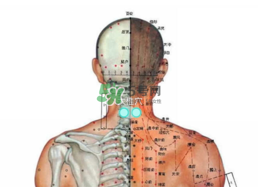 碧緹福護(hù)頸儀多少錢？碧緹福護(hù)頸儀價(jià)格