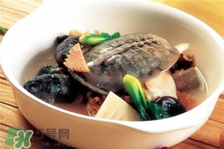 產(chǎn)婦能吃甲魚嗎？產(chǎn)婦能吃甲魚湯嗎？