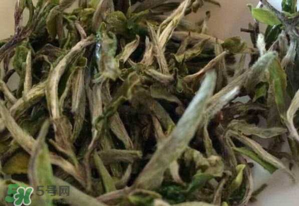 白茶需要洗茶嗎？白茶是洗還是不洗？