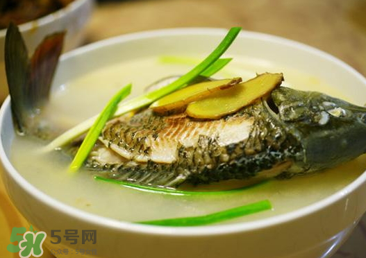 鯉魚湯怎么做好吃？鯉魚湯里面可以放什么？