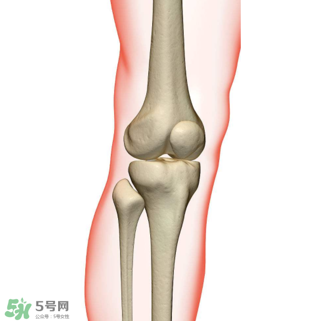 風(fēng)濕不治療可以治愈嗎？早期風(fēng)濕能自愈嗎？