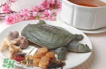 腳魚是什么？腳魚和烏龜?shù)膮^(qū)別