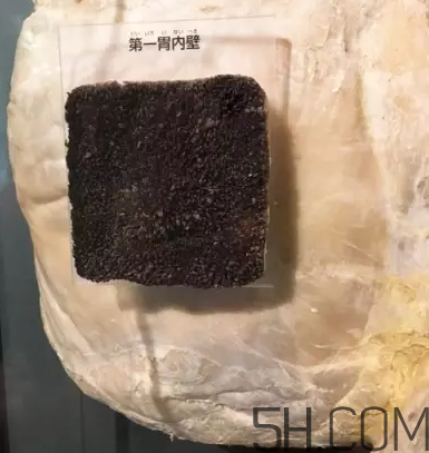 牛百葉和毛肚是一個(gè)東西嗎？牛百葉上面有層黑皮能吃嗎？