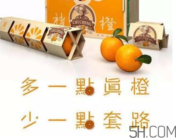 褚橙真的那么好吃嗎？褚橙哪里可以買到