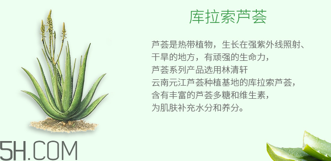 林清軒蘆薈面膜泥怎么樣？林清軒蘆薈面膜泥測評