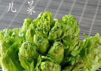 青菜頭是不是兒菜？大頭菜和兒菜的區(qū)別