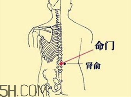 小腿抽筋可以跑步嗎？小腿抽筋可以拔火罐嗎