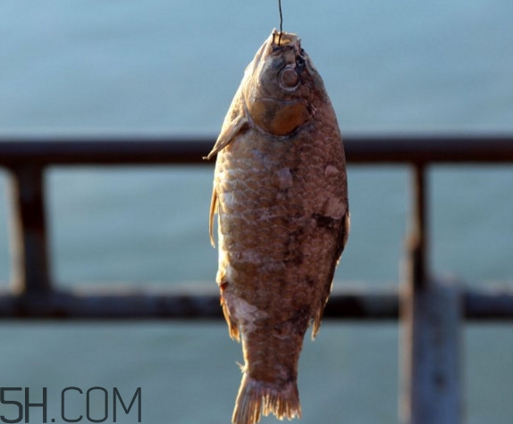 咸魚什么人不能吃？怎樣去除咸魚的咸