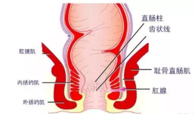 肛瘺非手術(shù)治療才可以嗎？手術(shù)是治療的關(guān)鍵途徑