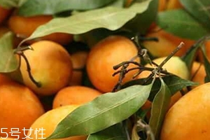 枇杷芒多少錢(qián)一斤？品質(zhì)越好價(jià)格越貴