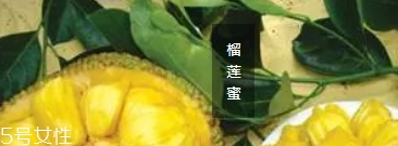 榴蓮蜜哪里能吃？哪里不能吃