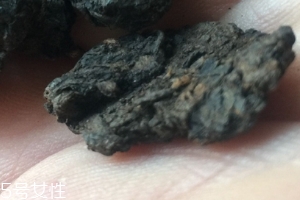 老茶頭怎么泡？泡錯了就不好喝了