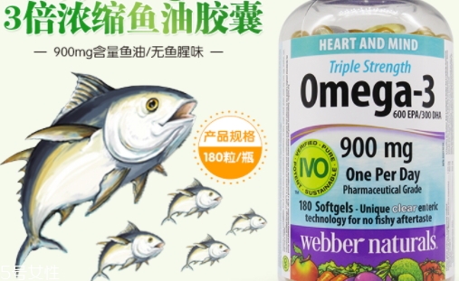 webber naturals魚油怎么吃？3倍濃縮深海魚油