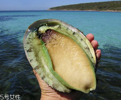 鮑魚罐頭好吃嗎？味道還可以