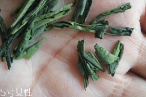 六安瓜片是紅茶還是綠茶？