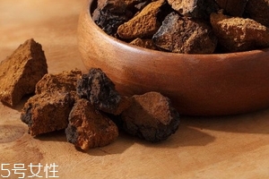 樺樹茸是樹黃嗎？樺樹茸屬于什么