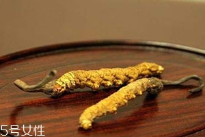 白蟲草價(jià)格多少錢一斤 白蟲草最新價(jià)格行情