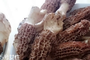 羊肚菌是什么東西？羊肚菌能吃嗎？