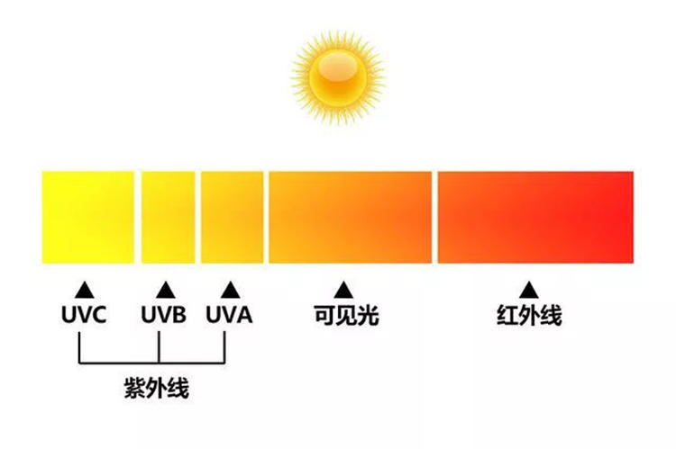 蘭嘉絲汀什么產(chǎn)品最好 蘭嘉絲汀哪里能買到正品