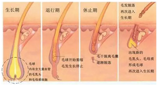 超冰脫毛對皮膚會影響排汗嗎 超冰脫毛有副作用嗎