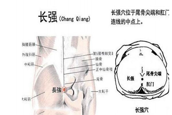 痔瘡不能吃什么食物 怎么治療