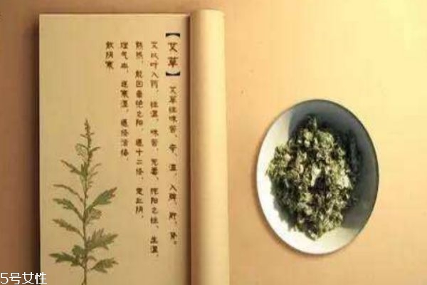 艾草是什么 艾草的好處