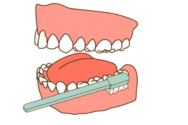 早上起來(lái)不刷牙先吃飯可以嗎 早上刷牙后吃飯的好處