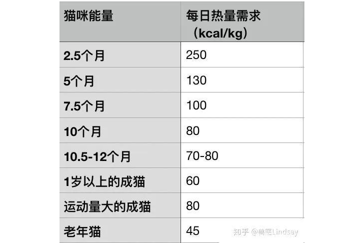 3個月小貓的正常體重 貓咪體重年齡對照表