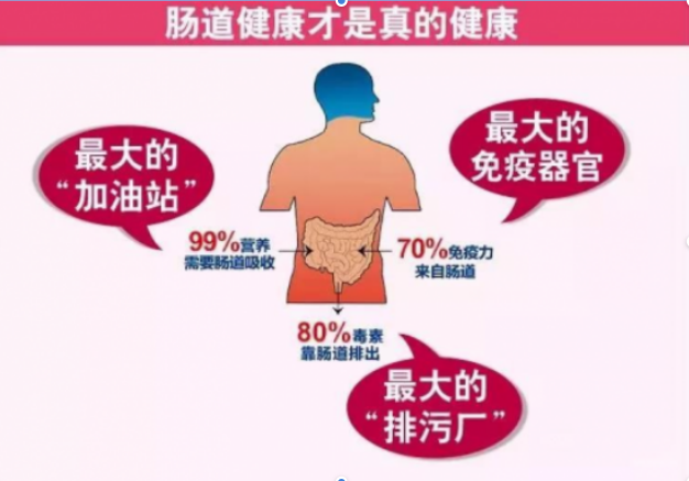 腸道臟怎么辦 成人益生菌還你干凈腸道