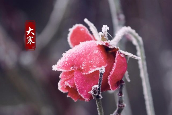 大寒為什么要吃糯米飯 大寒節(jié)氣怎么養(yǎng)生