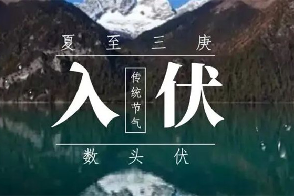 入伏吃餃子還是面條 入伏吃什么養(yǎng)生