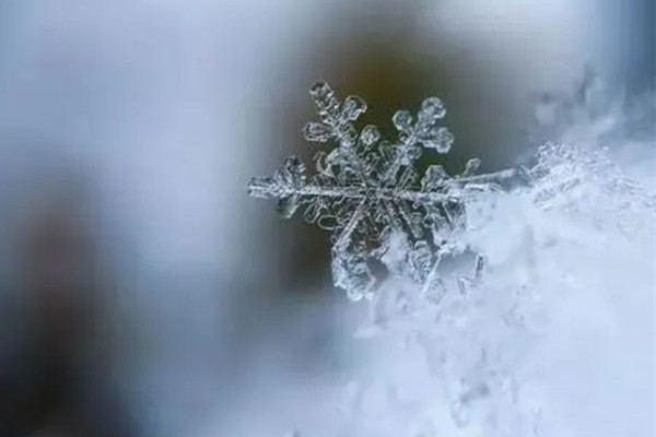 今年首場寒潮最強雨雪下在哪? 雨雪天氣會影響手機信號嗎